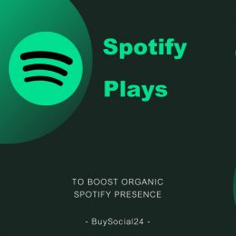Buy 5000 Spotify Plays - Free and Trail Available now!