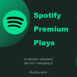 Buy spotify premium plays